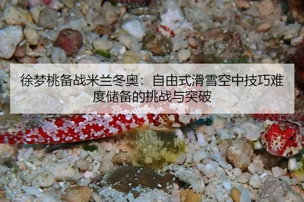 徐梦桃备战米兰冬奥：自由式滑雪空中技巧难度储备的挑战与突破